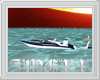 ZM W-Boat/Water Ski
