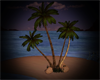 palms for nightbeach