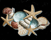 Seashell Clusters