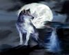 Moon Wolf Add on room