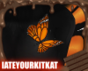 Monarchia Butterfly