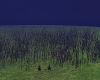 CCP Animated  Long Grass