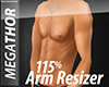 MT| Arm Scaler 115%