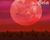 Red Moon Open Fields