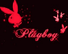 playboy background