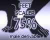 Feet Scaler 75