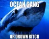 #OCEAN GANG OR DROWN