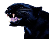!S! black panther1