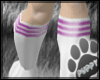 [Pup] Tube Socks Purple