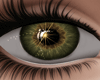 Green hazel Eyes