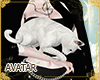 !A| Diva Cat white