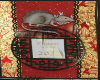 Year of the Rat banner