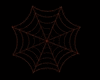 Spider Web Orange
