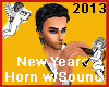 2013 New Years Horn SND