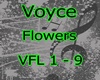 Voyce Flowers
