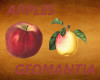 2 Vintage Apples enchanc