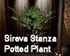 Sireva Stanza Plant Pot