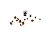 {TR} Ani Pumpkin Patch