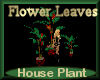 [my]Plant Flower Leaves
