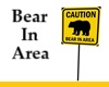 Bear In Area