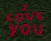 "I LOVE YOU" ROSE  PETAL