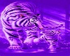 Purple Tiger Couch