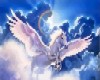 Pegasus
