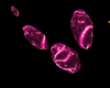Pink boom light