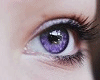 *LH* Eyes purple M/F DRV
