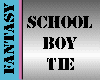 [FW] schoolboy tie
