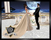 :XB: Posing Wedding Moon