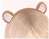 ❥ Bearie Ears