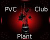 PVC Club Plant