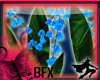 BFX Bluebells