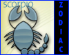 `Zodiac Scorpio Sticker