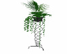 plant with stand