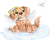Angel Pup