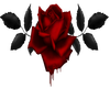 Bloody (B) Rose