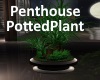 [BD]PenthousePottedPlant