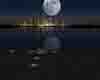 moonlit night in the cit