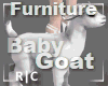 R|C Baby Goat White Furn