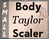Body Scaler Taylor S