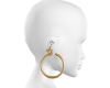 Gold Hoops