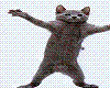 Dancing Cat Animated