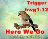Here We Go by Tom Rhodes