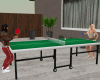 TX Ping Pong Table