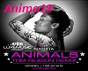 Nabiha-Animals-Tom-Reaso