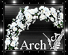 White Flower Arch