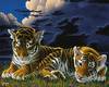 Tigers At Peace Time