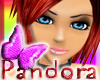 *PD* Pandora cute head